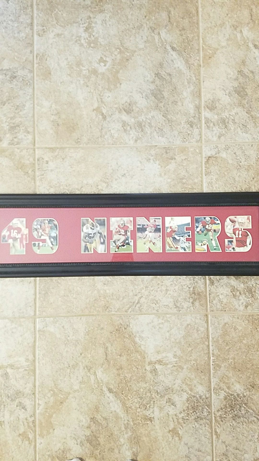 Beautifully framed san Francisco 49ers nfl football poster
