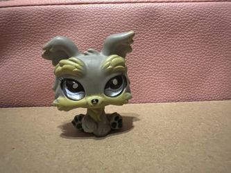 yorkie Littlest Let Shop Pet