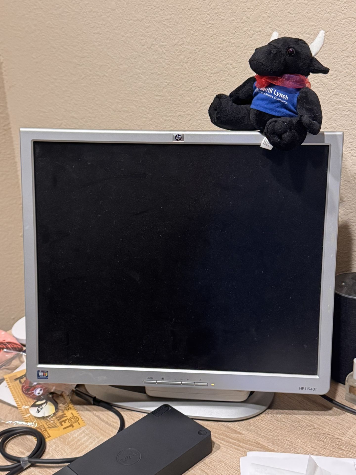 19” HP computer monitor