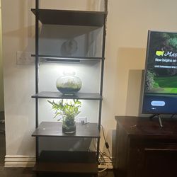 2 Wall mounted shelves ( both included)