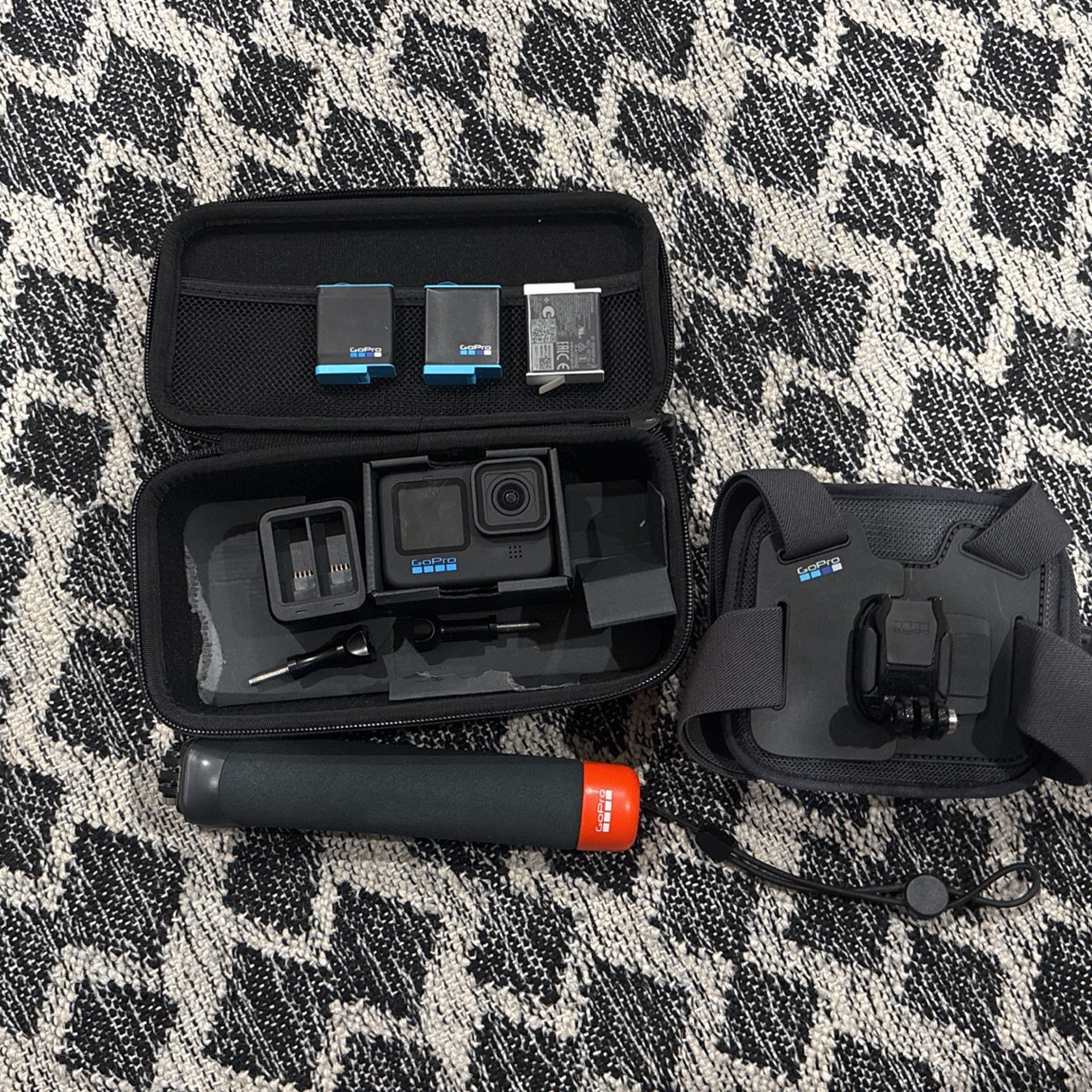 GoPro Hero 10