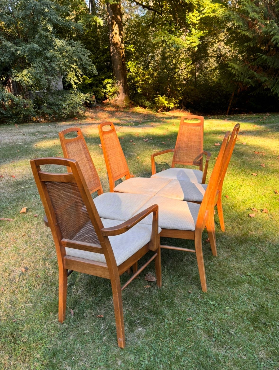 Mcm Walnut Dining Table And Set Of 6 Chairs