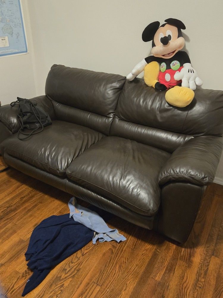 Brown Leather Sleeper Sofa