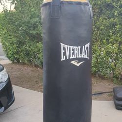 Punching Bag 