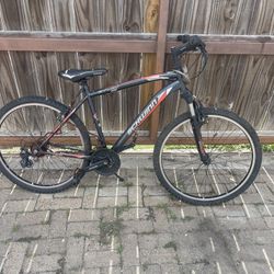 Schwin Bike 