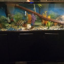 Aquarium And Stand For Sale