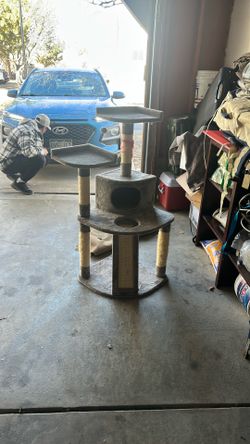 Cat Tree