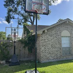 Lifetime Basketball Hoop