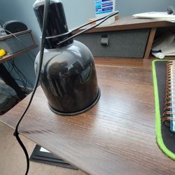 Reptile Heat Lamp