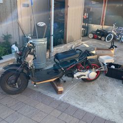 2005 Honda Ruckus