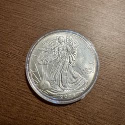 1 Oz Silver Coin 