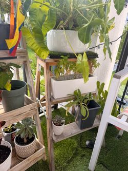 Wooden Tiered Plant Stand ( no plants included )