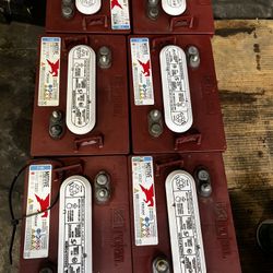 Trojan 6 Volt Golf Cart 
