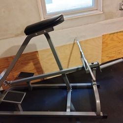 Chest Supported Row 