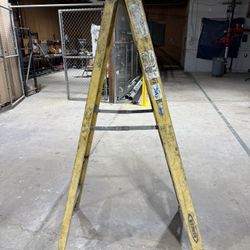 Wener 6 Foot Ladder