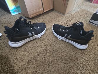 Nike Lebron Witness