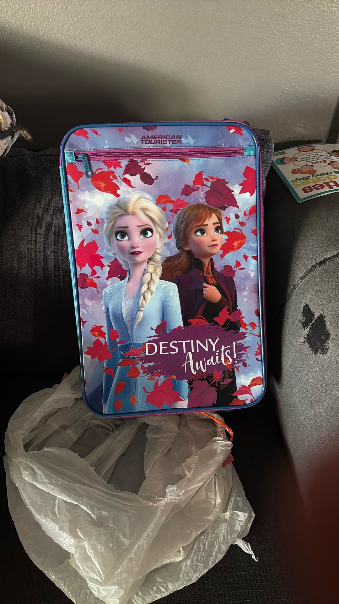 Elsa And Ana Luggage 