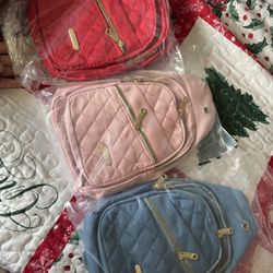 Backpacks / Purse 