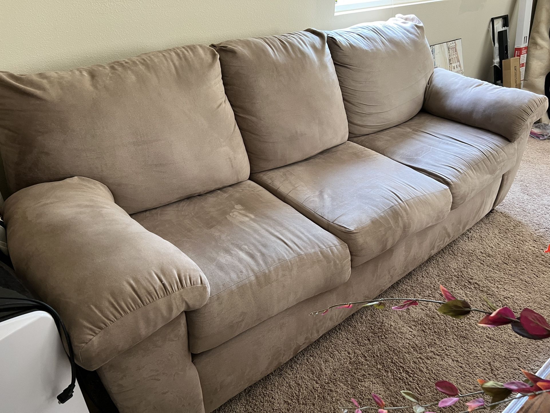 Sofa And Matching Live Seat