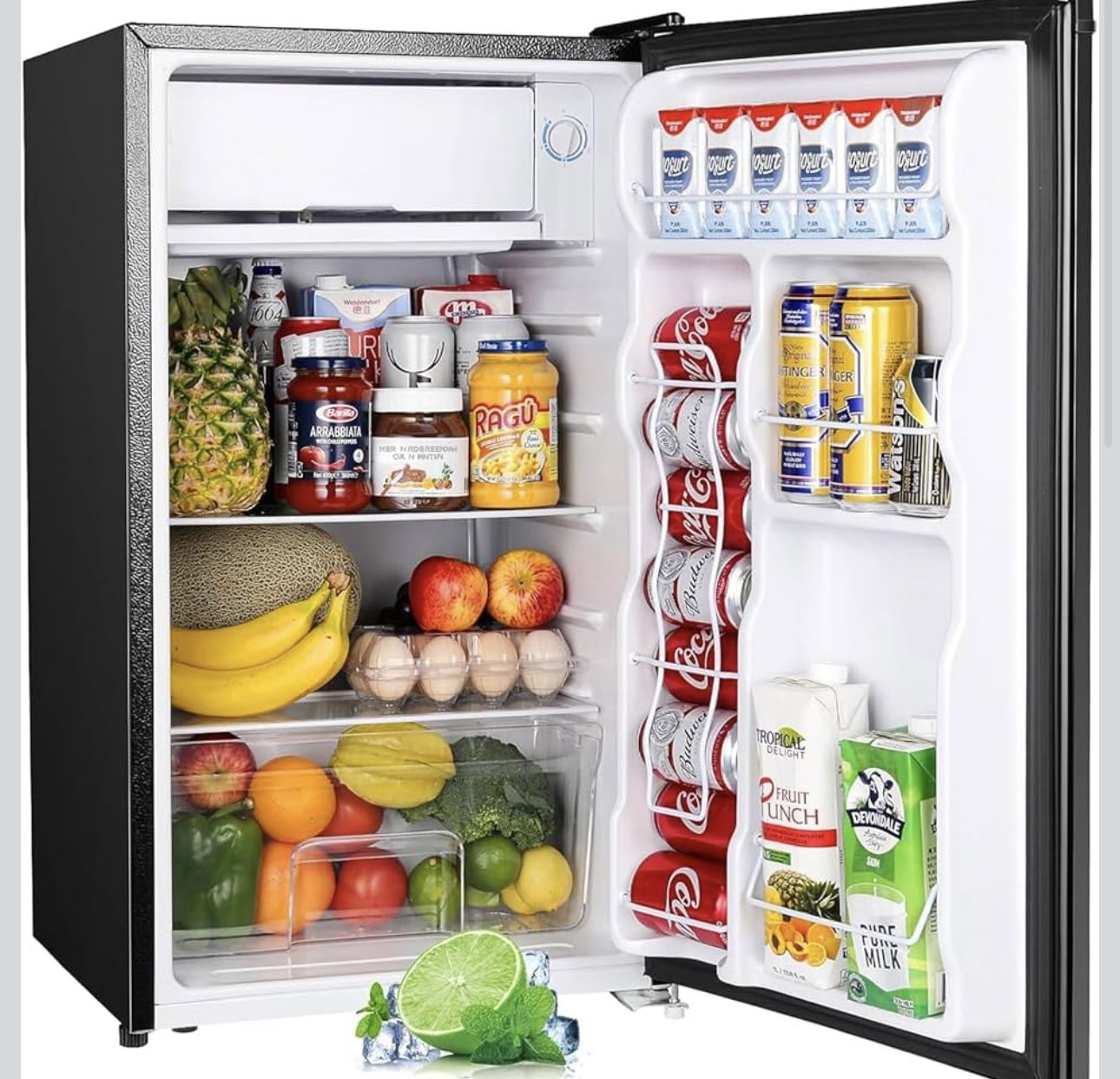 Mini Fridge with Freezer