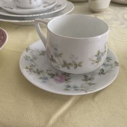 Rosenthal Cup And Saucer - Made In Germany