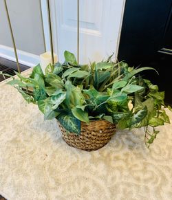 Greenery accent decor basket
