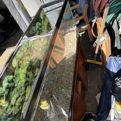 55 Gallon Tank With Stand 