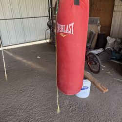 Punching Bag From Everlast