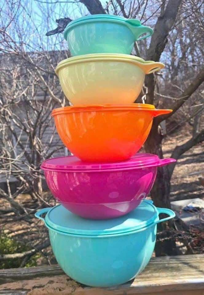 Juego De Tazones Topperware