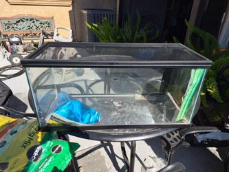 Aquarium tank