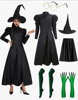 Wicked Witch Costume - XL