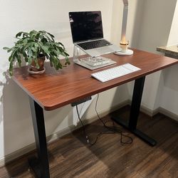 Flexispot Adjustable Standing Desk