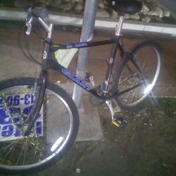 Giant Boulder Mountain Bike, bicycle