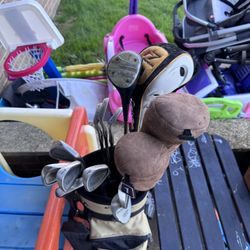 Set Of Used Taylor Made And King Cobra Golf Clubs Plus Bonus Clubs And A Calloway Bag