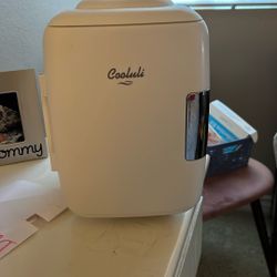 Mini Fridge 