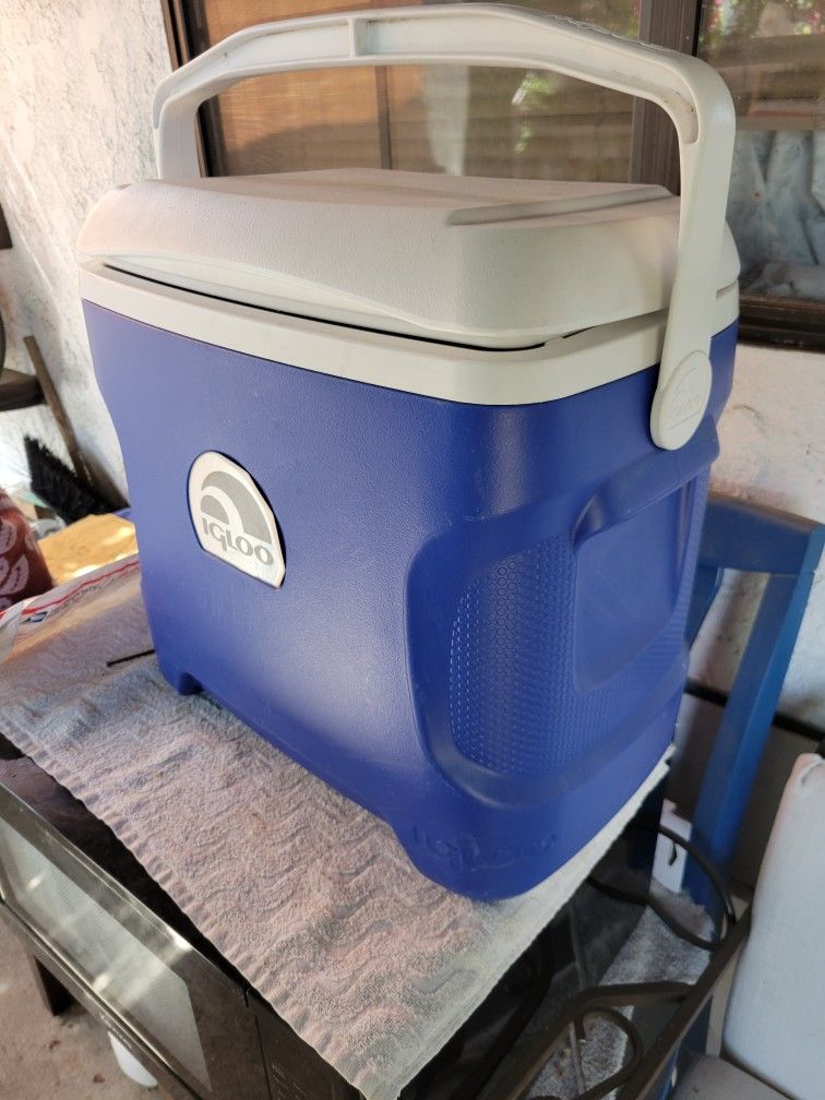 Igloo Cooler Medium Size 40 Cans +