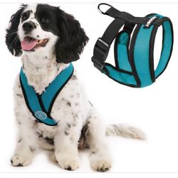 Gooby Comfort X Head-in Harness - Turquoise Medium - Breathable Lightweight Wrinkle Free Mesh