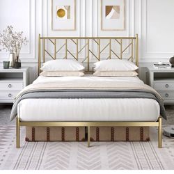 Gold Bed frame with the Mattress 