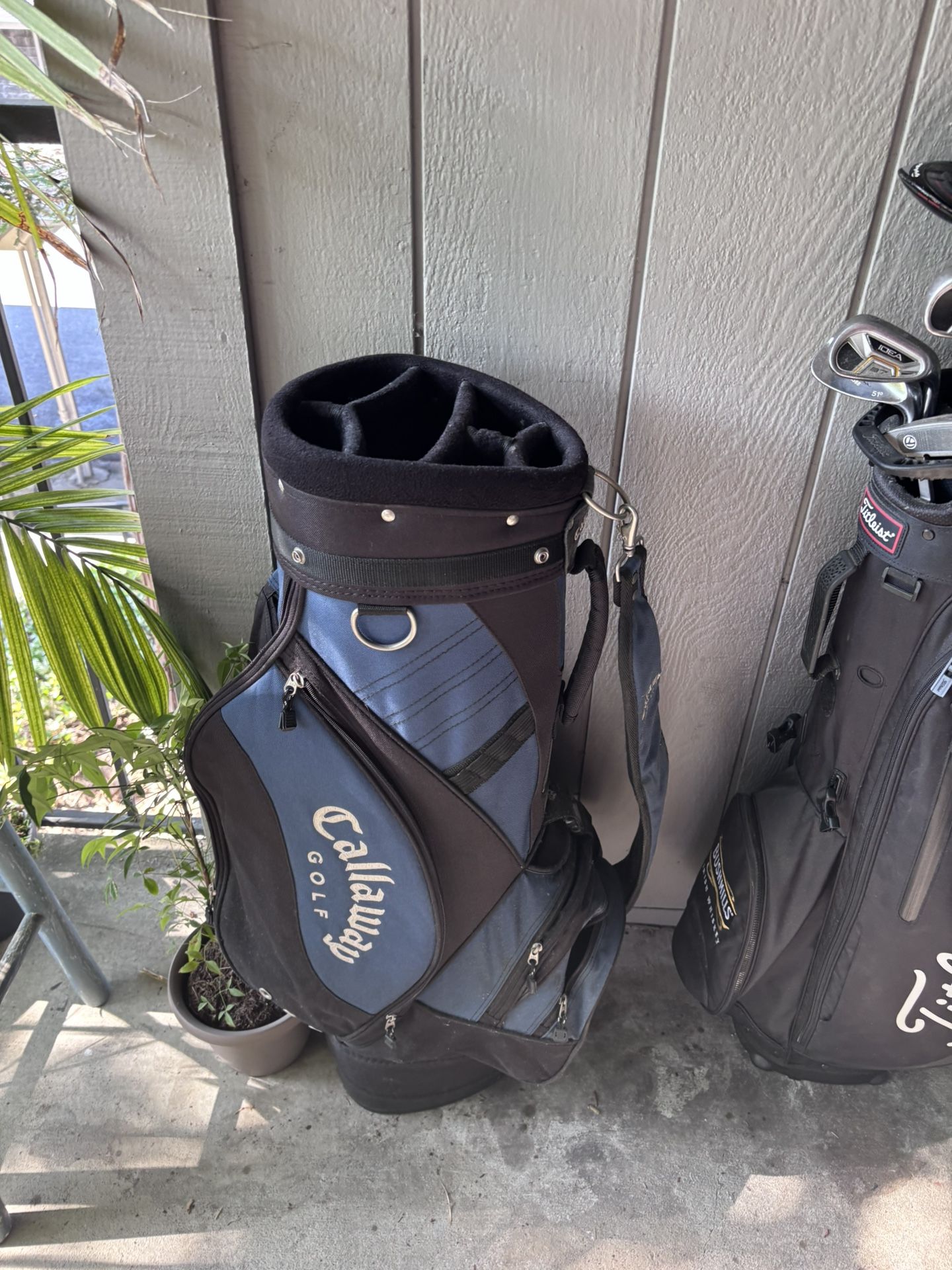 Golf Clubs - 2 Bags (walking And Cart Bag