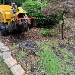 STUMP GRINDING 