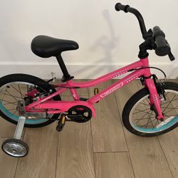 Guardian 14 In Kids Bike