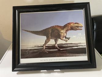 Pictures For Kids Room 13 1/2” X16 5/8” Wood Frame