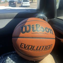 Wilson Evo Basketball 