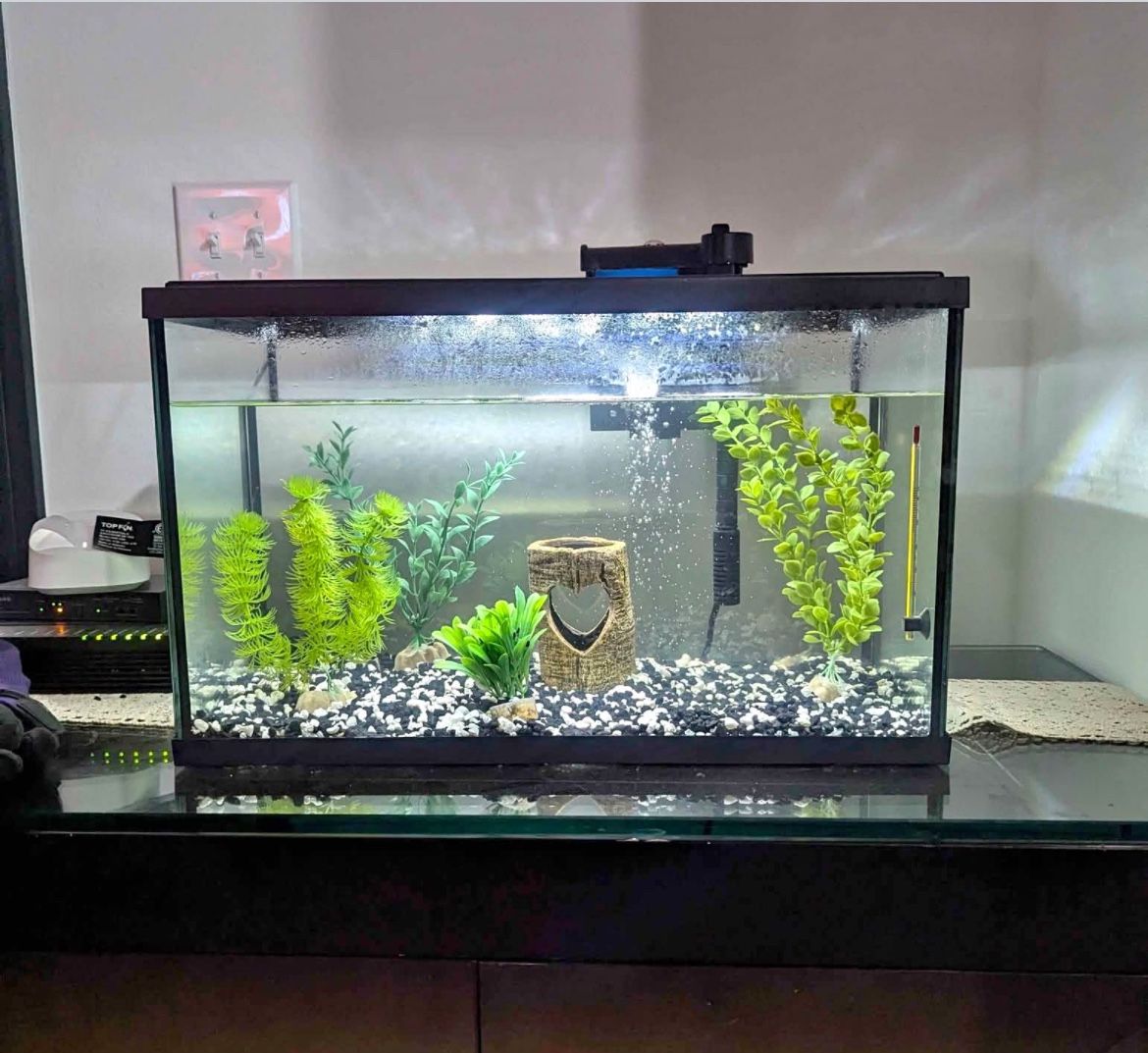 10 gallon Fish Tank and Accessories