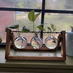 Plant Terrarium-3 Bulb Vase