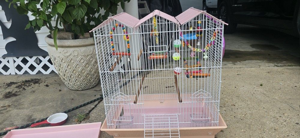 Bird Cage