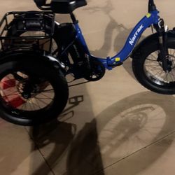 3 Wheel Electric Trike 48 Volts 