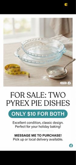Two used Pyrex pie dishes