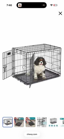 MidWest iCrate Medium Dog Crate with Divider