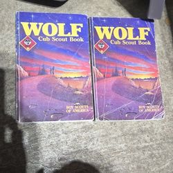 Vintage Cub Scout Book (2)
